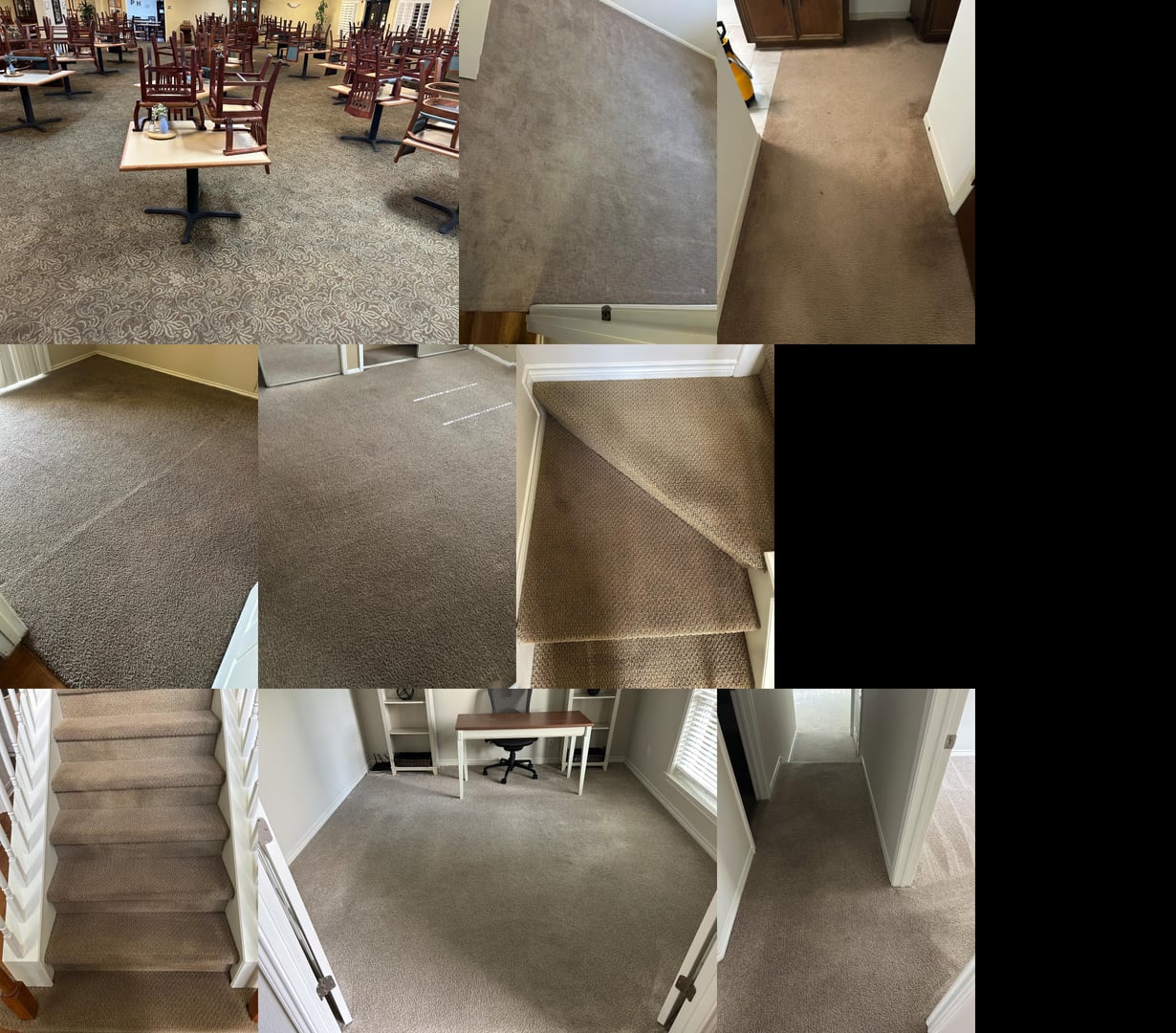 Carpet cleaning Austin TX - commercial and residential carpet cleaning, fast dry times, pet safe products