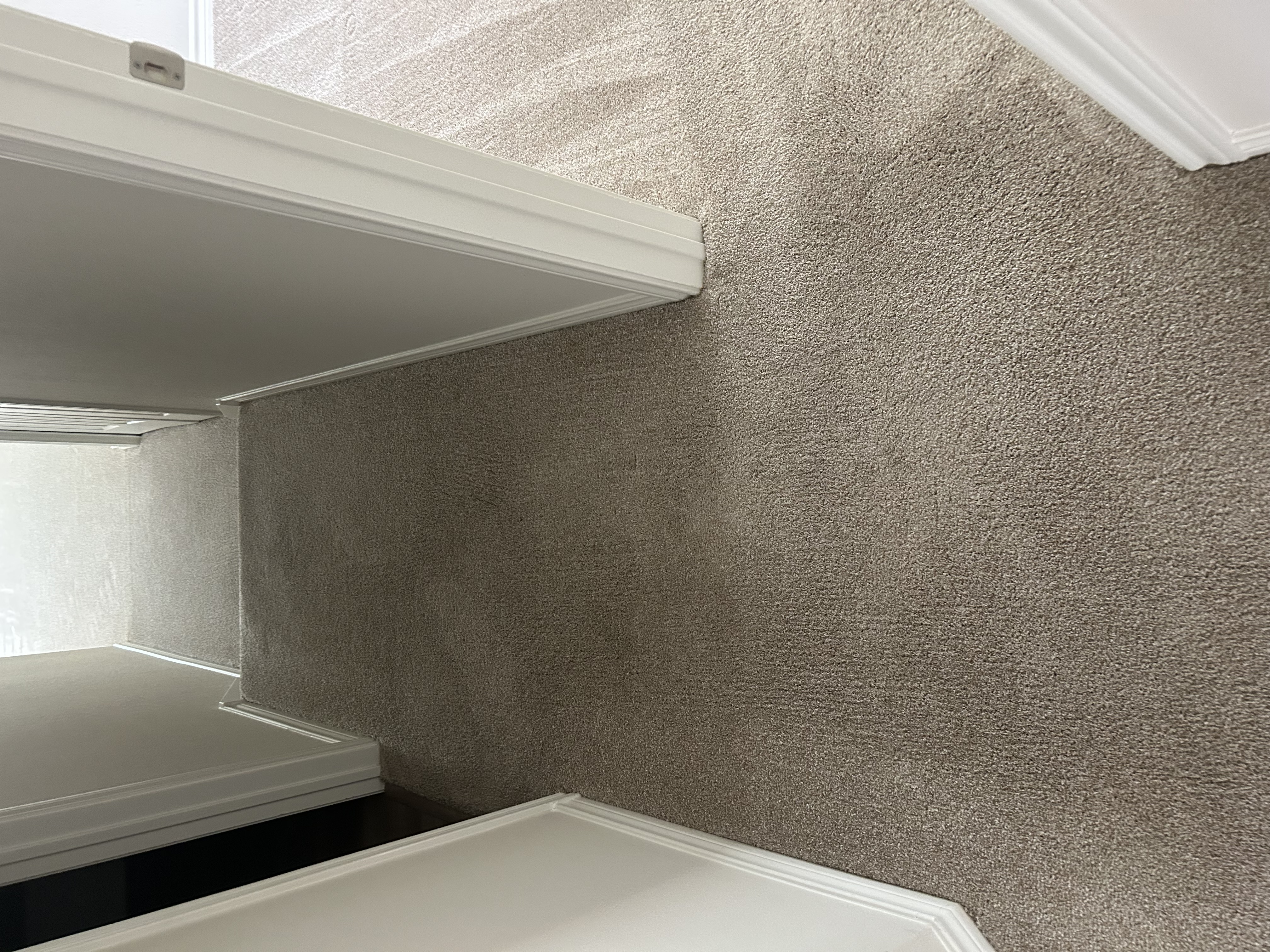 How Often Should You Professionally Clean Your Carpets — Austin Edition